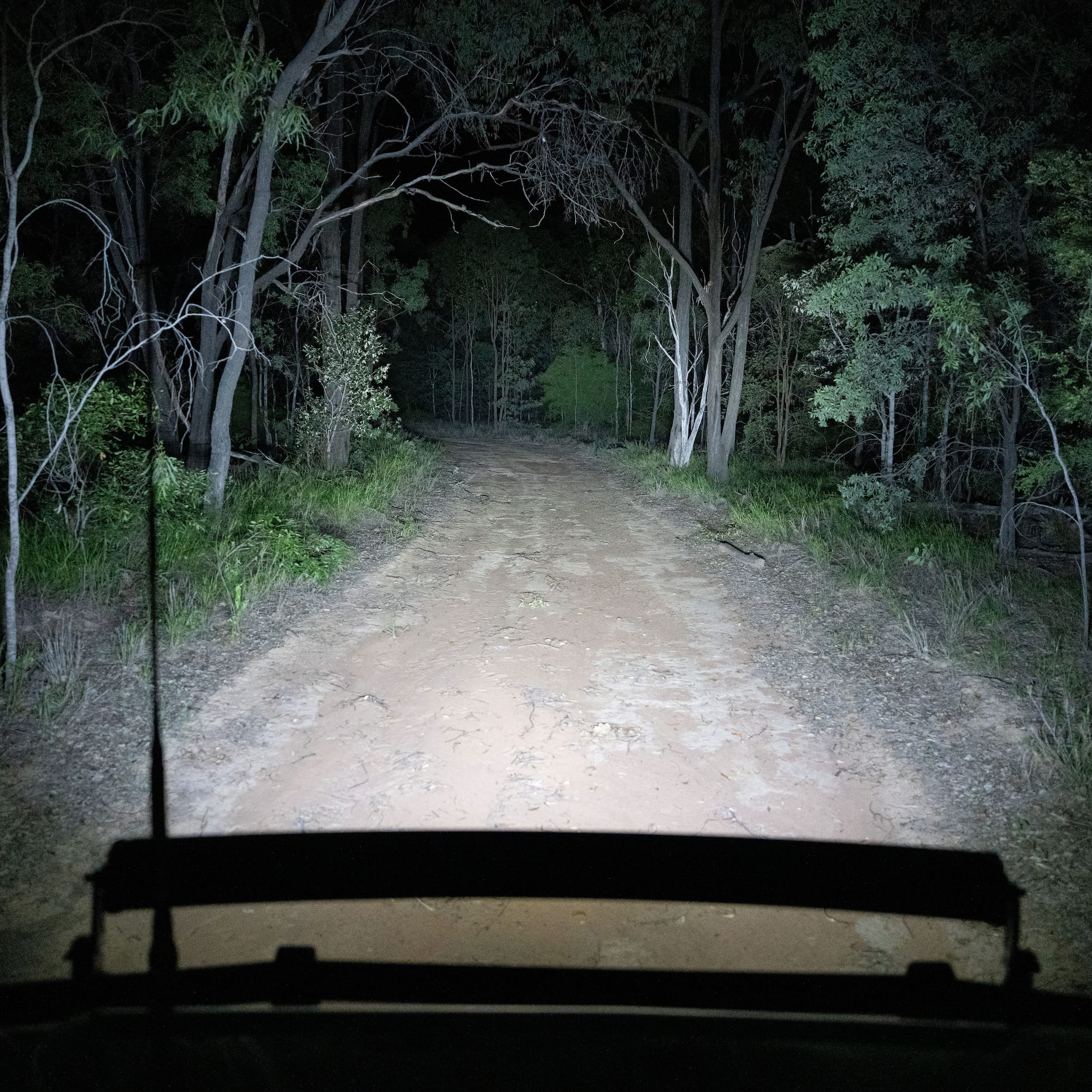 HuntLite 42″ Red / Red White Hunting Light Bar