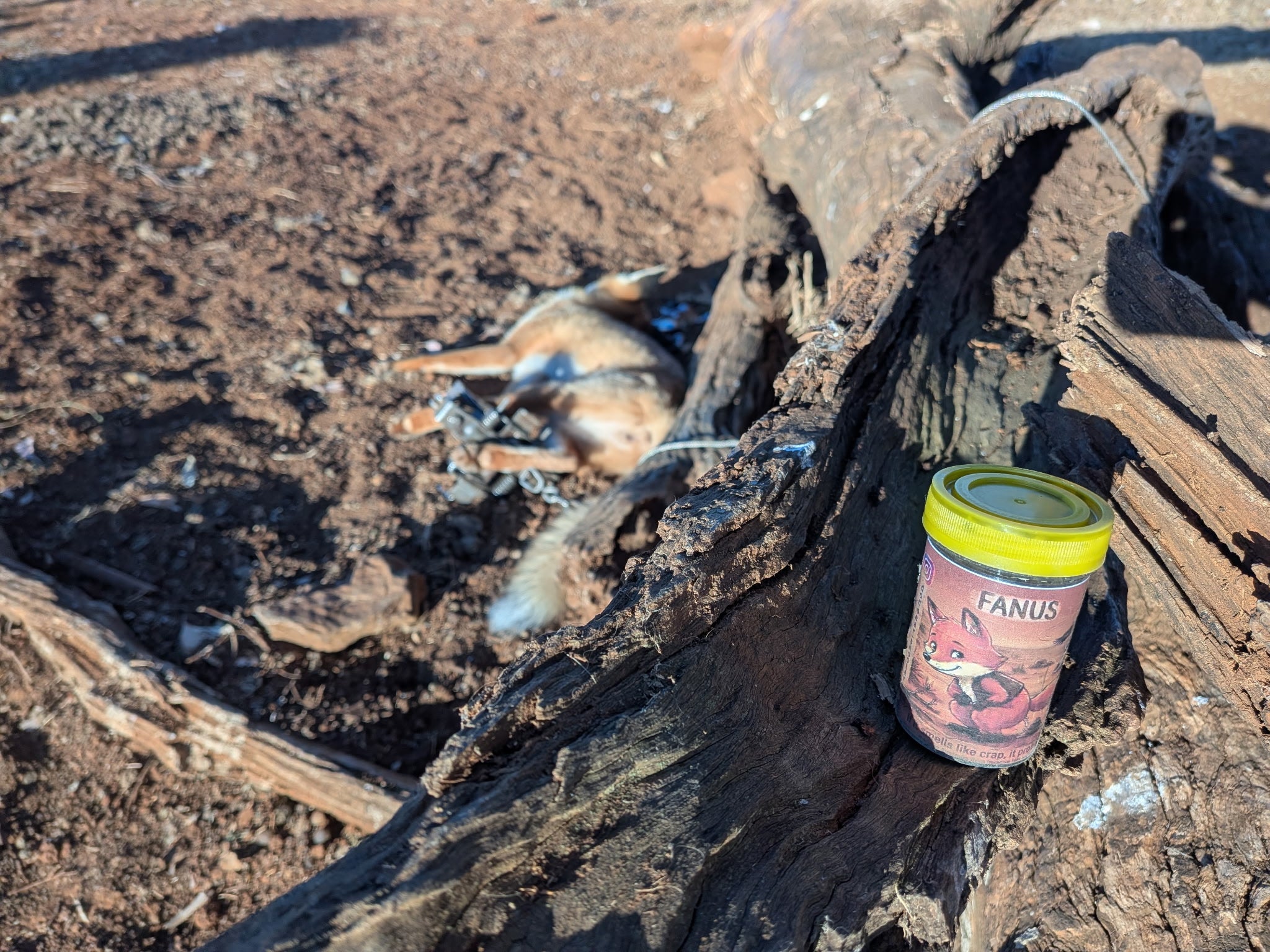 Fanus Fox Lure – Professional Australian-Made Fox Attractant