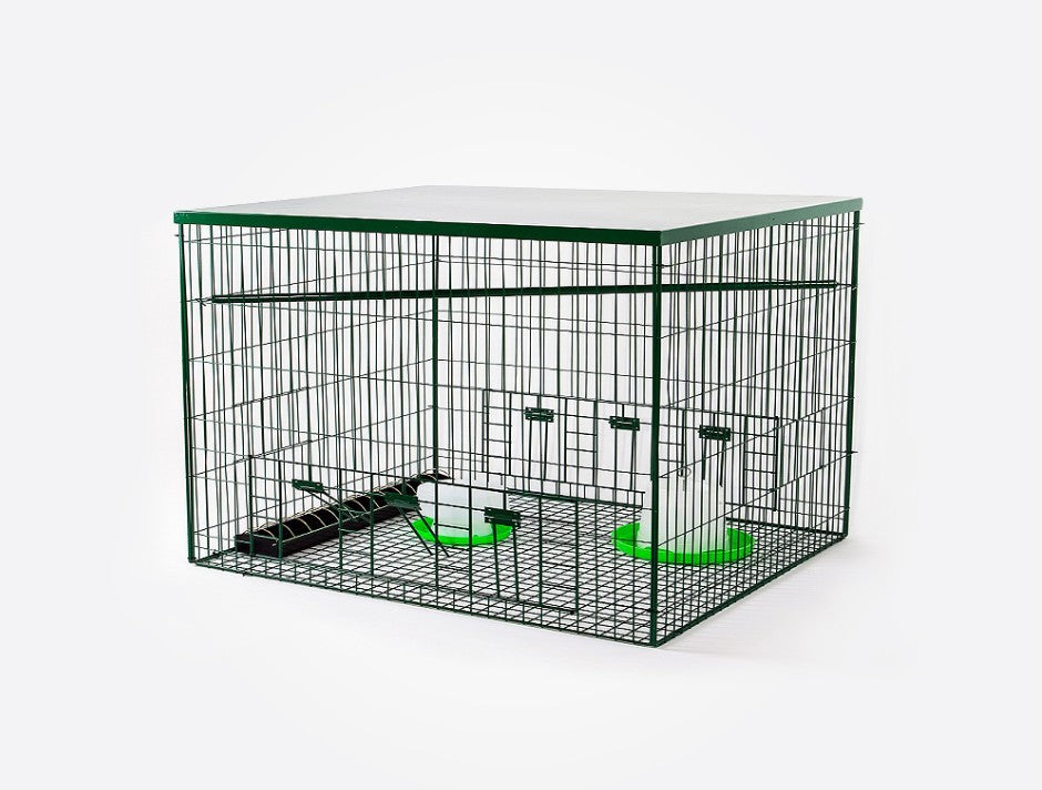 Pigeon Magnet Trap - Collapsible Pigeon Cage