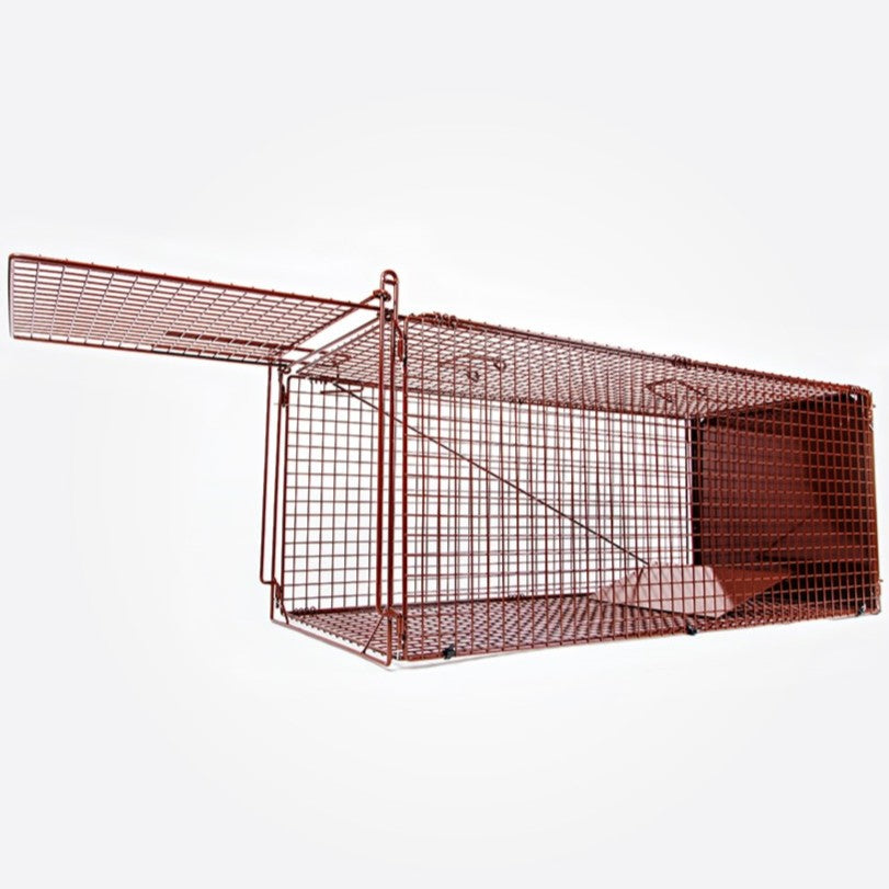 Cage Traps