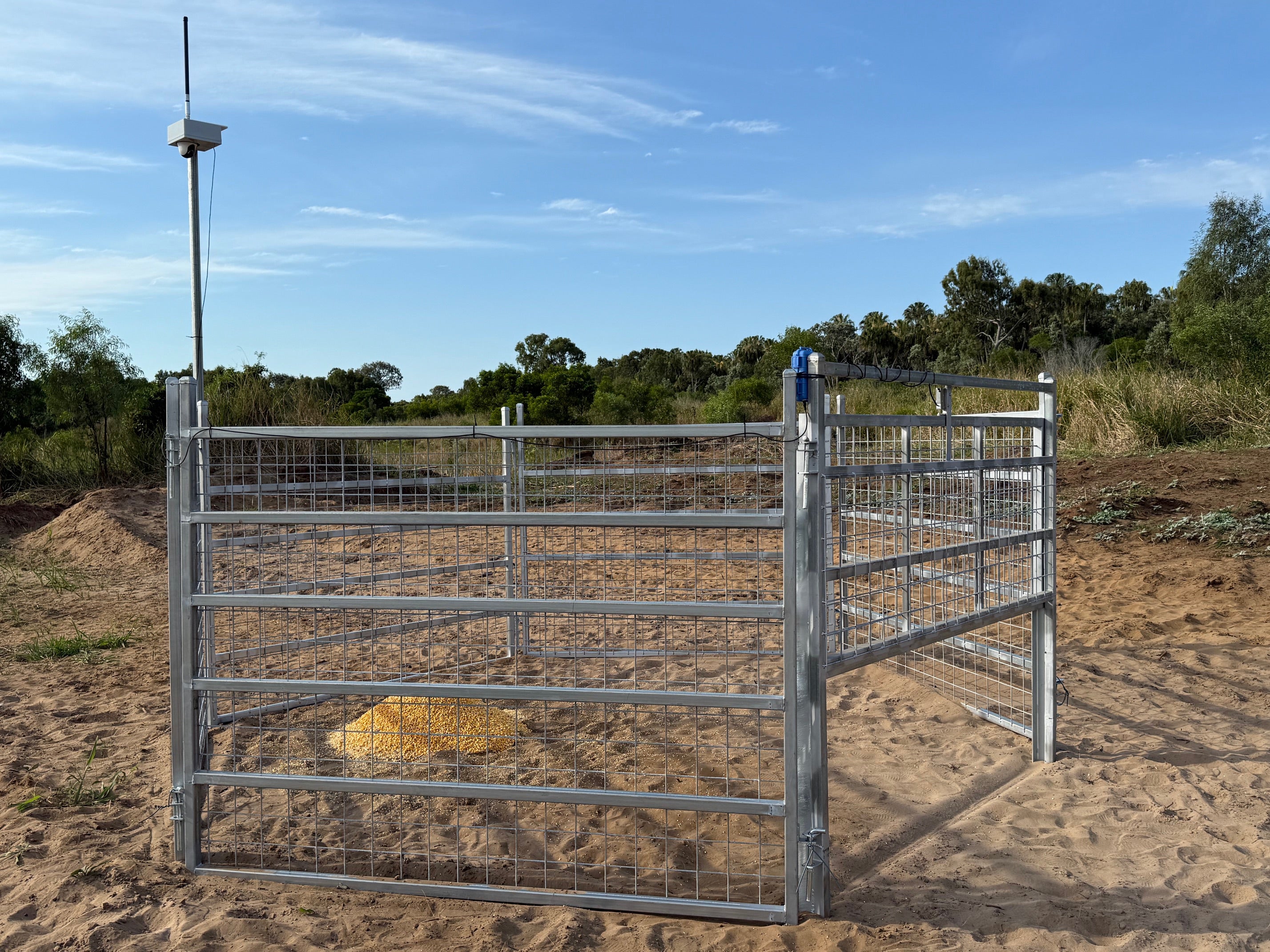 DIY Cellular Trap Setup: Live Feed Camera with Solid-State Relay, Latch & Trap Door