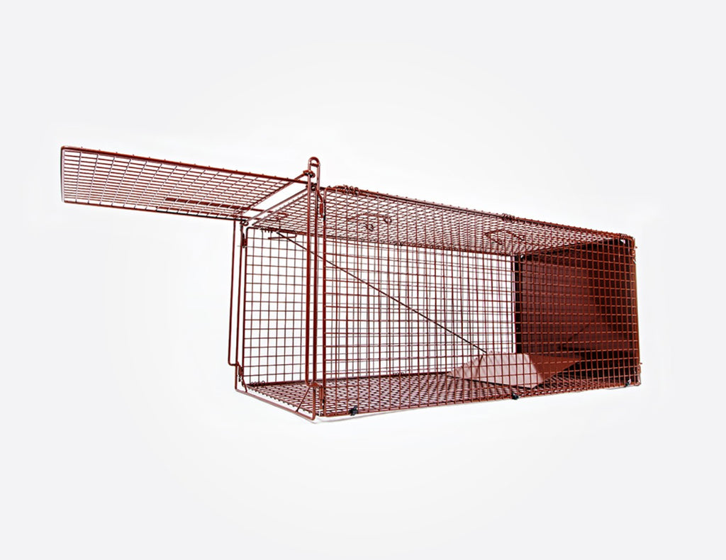 Fox Magnet Cage Trap | Collapsible Live Capture