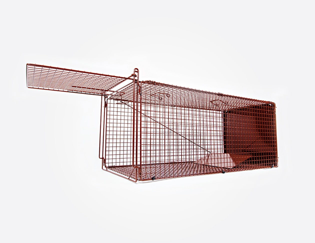 Fox Magnet Cage Trap - Collapsible Live Capture